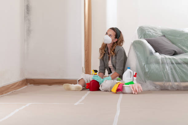 Reliable Black Mold Removal contractor in Clear Spring, MD by WQB Mold Removal